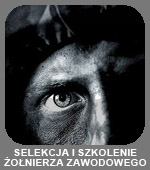 Żołnierz zawodowy