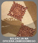 Żołnierz zawodowy